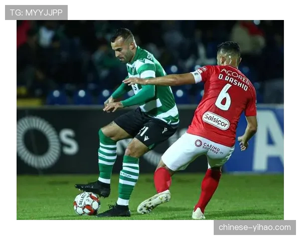 葡杯防守紧凑度对比，葡萄牙体育后防线注意力集中度待改善